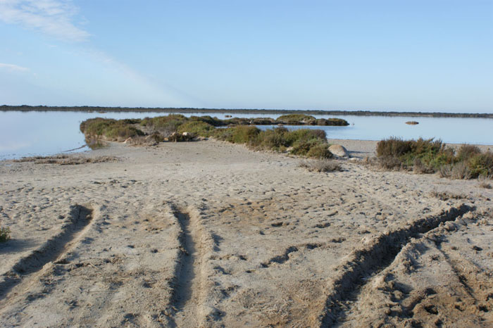 Lagunas Lagunas