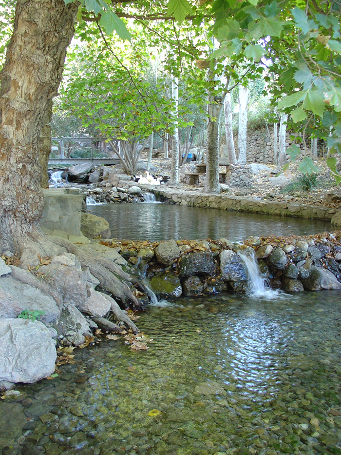 Área Recreativa de Celín (Dalías) Área Recreativa de Celín (Dalías)