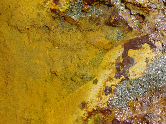 Detalle de los minerales del fondo Detalle de los minerales del fondo