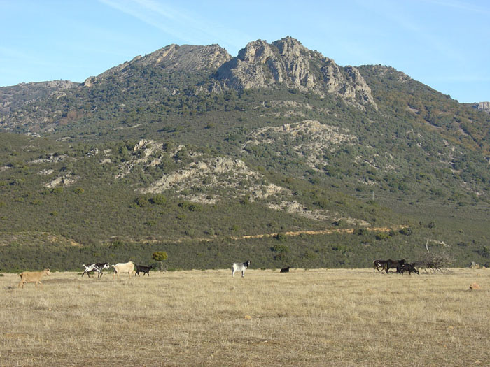 Paisaje cercano a las pinturas de Peña Escrita Paisaje cercano a las pinturas de Peña Escrita