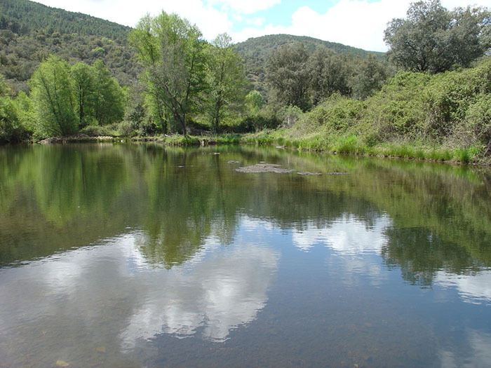 Embalse que proporciona agua a Solana del Pino Embalse que proporciona agua a Solana del Pino