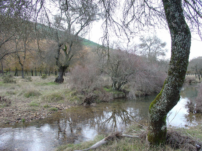 Río Montoro Río Montoro