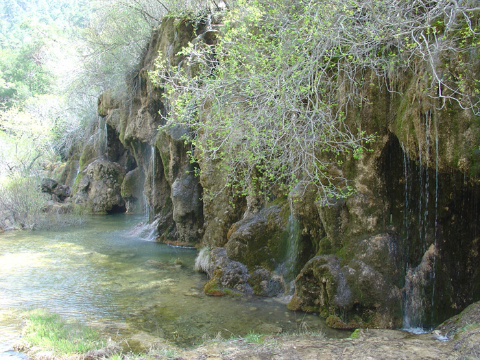 Nacimiento del Río Cuervo Nacimiento del Río Cuervos