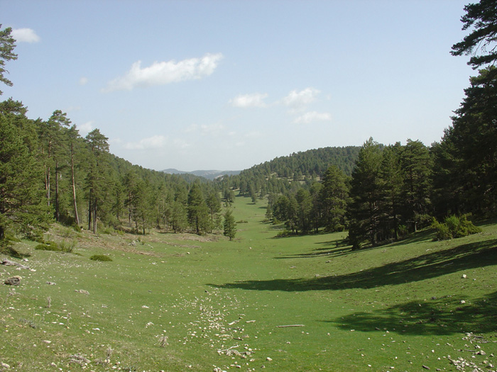 Paisaje cercano al Hosquillo Paisaje cercano al Hosquillo