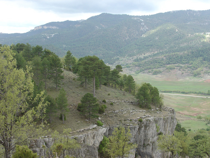 Paisaje Paisaje