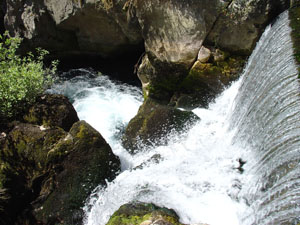 Maravillas en el Valle del Guadiaro