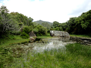 Alcornocales con Niños
