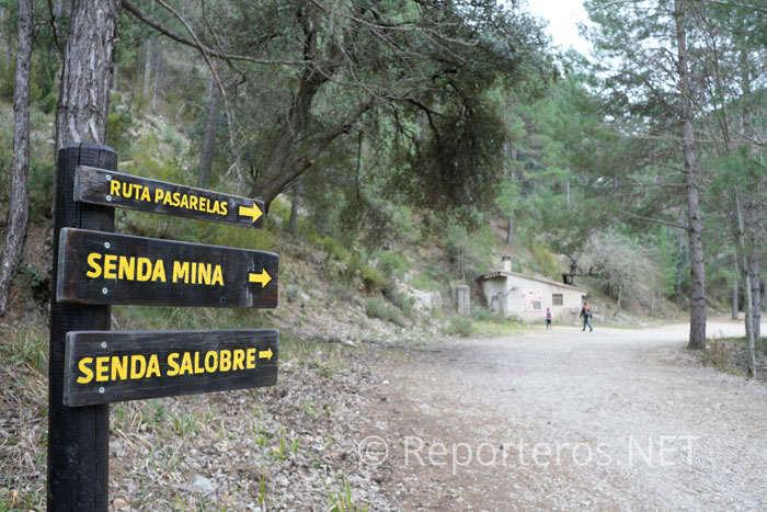 Puedes elegir la opción lineal o circular Puedes elegir la opción lineal o circular