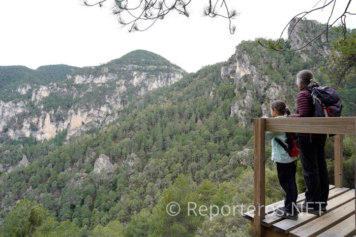 Mirador en la ruta Salobre y senda de la Mina Mirador en la ruta Salobre y senda de la Mina