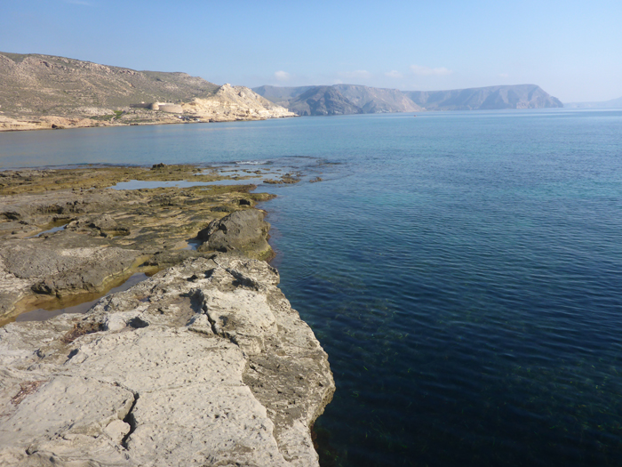 Se pueden ver las plantas de posidonia desde la orilla Se pueden ver las plantas de posidonia desde la orilla