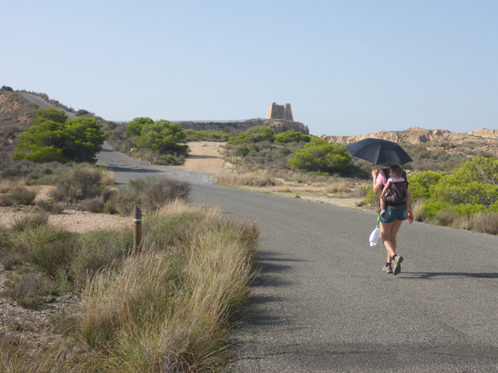 Carretera para ascender a la Mesa de Roldán Carretera para ascender a la Mesa de Roldán