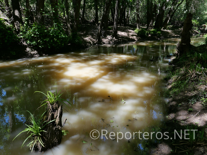 El río lleva color chocolate por la composición del terreno El río lleva color chocolate por la composición del terreno