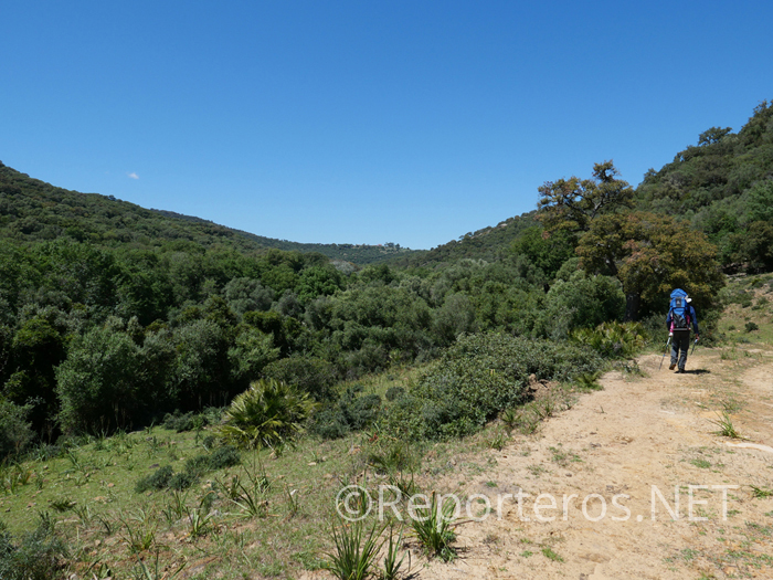 Retomamos el sendero Retomamos el sendero