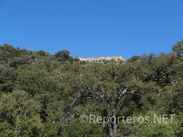 Castillo de Castellar Castillo de Castellar