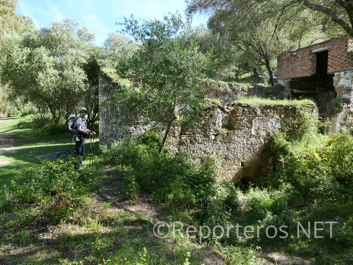 Molino Molino