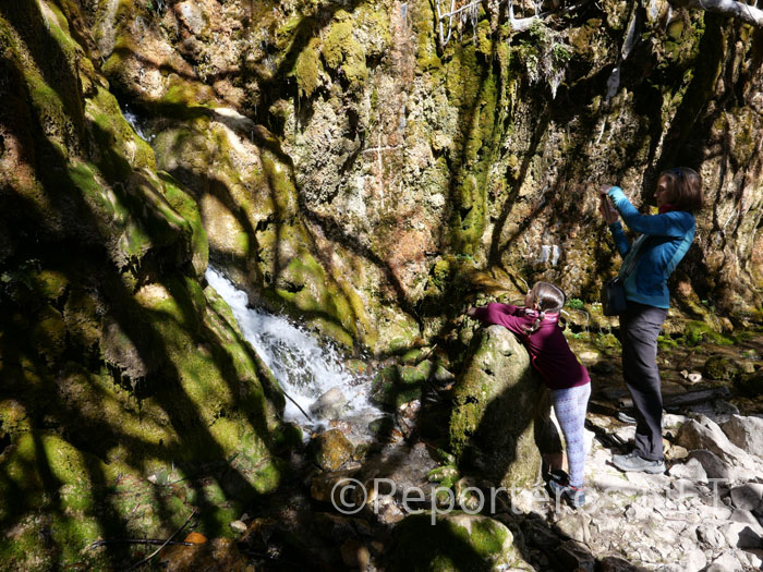 Nacimiento del rio Peralta Nacimiento del rio Peralta