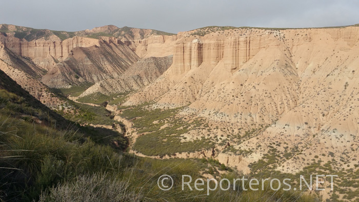 Desierto de los Coloraos Desierto de los Coloraos