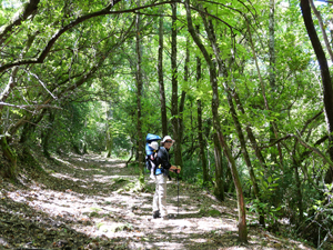 Las Batuecas y Sierra de Francia con niños: buscando tesoros en el bosque