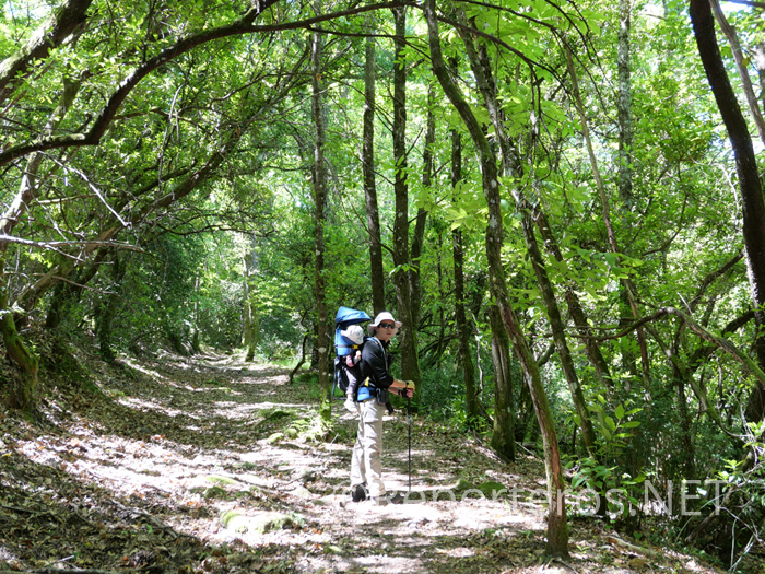 Las Batuecas y Sierra de Francia con niños: buscando tesoros en el bosque
