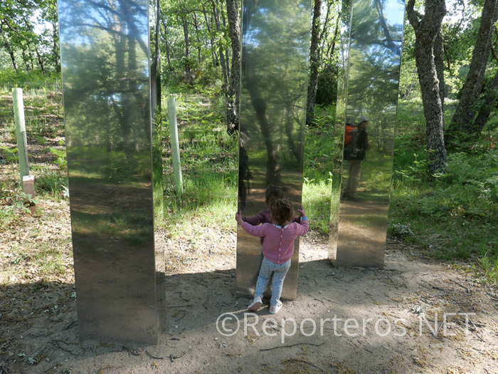 Obra de arte 'Del espejismo de un bosque' Obra de arte 'Del espejismo de un bosque'