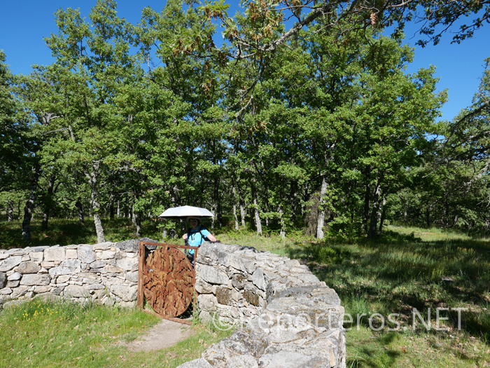 Obra de Lucía Loren simbolizando la protección del bosque Obra de Lucía Loren simbolizando la protección del bosque
