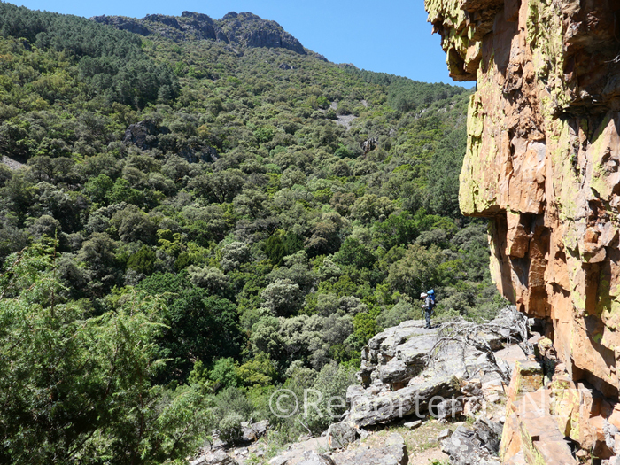 Desde el Canchal del Zarzalón Desde el Canchal del Zarzalón
