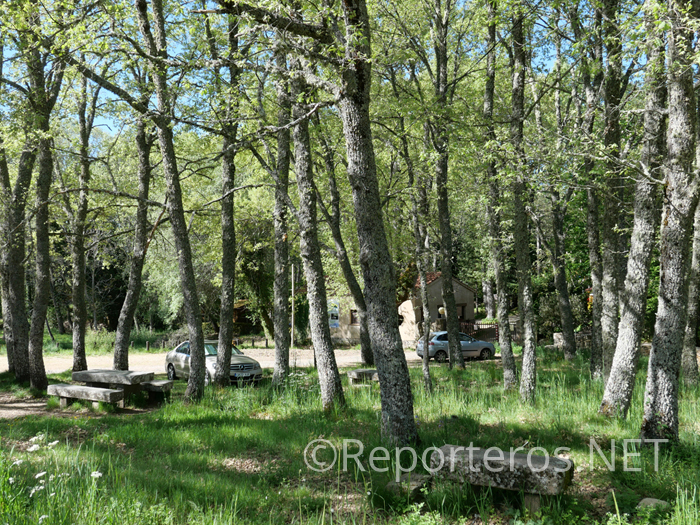 La ruta comienza en el Área Recreativa Fuente del Cántaro La ruta comienza en el Área Recreativa Fuente del Cántaro