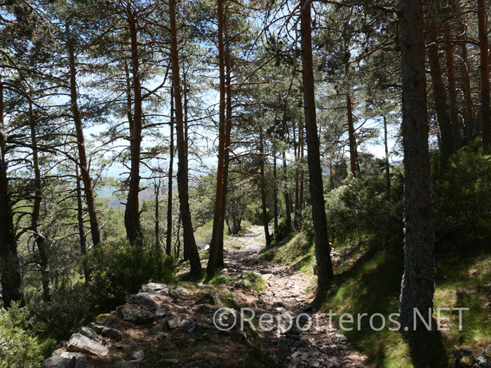 Senda de Bajada Peña de Francia a El Casarito Senda de Bajada Peña de Francia a El Casarito