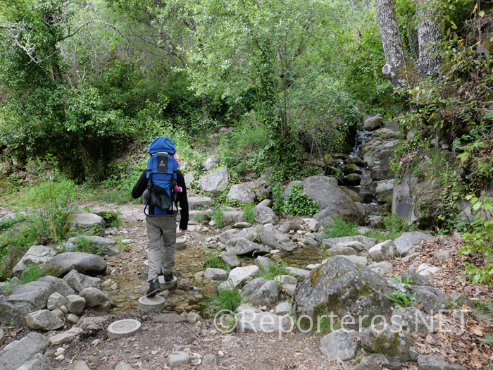 Cruzamos el arroyo por pasarelas de hormigón Cruzamos el arroyo por pasarelas de hormigón