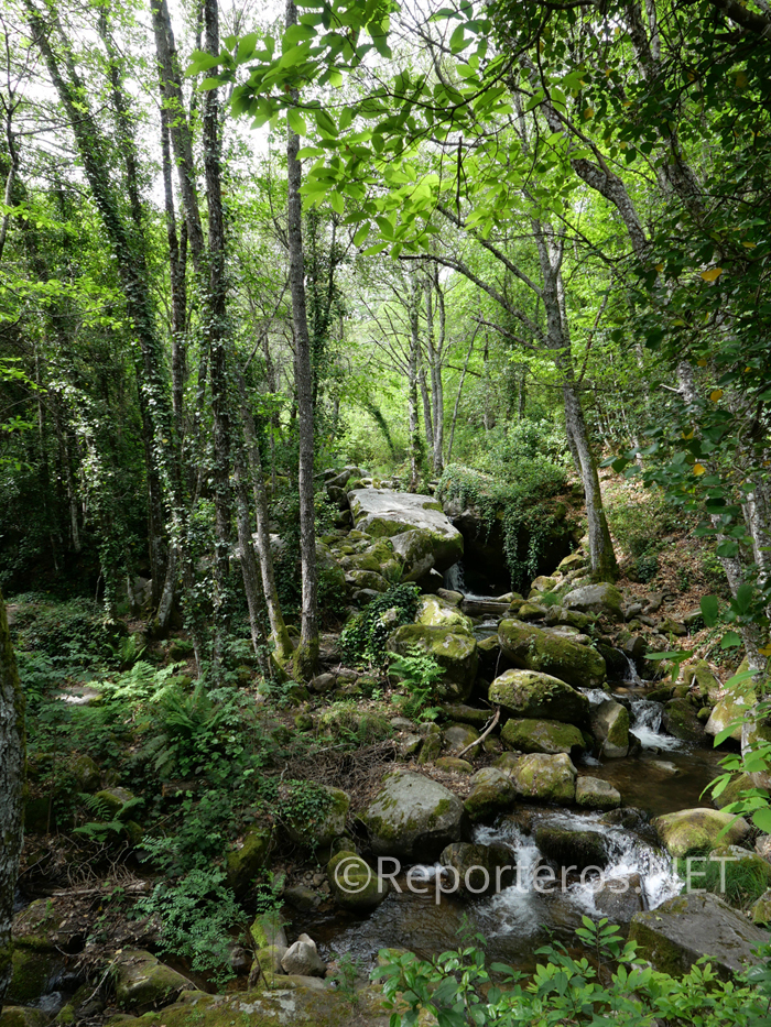 Arroyo de los Milanos Arroyo de los Milanos