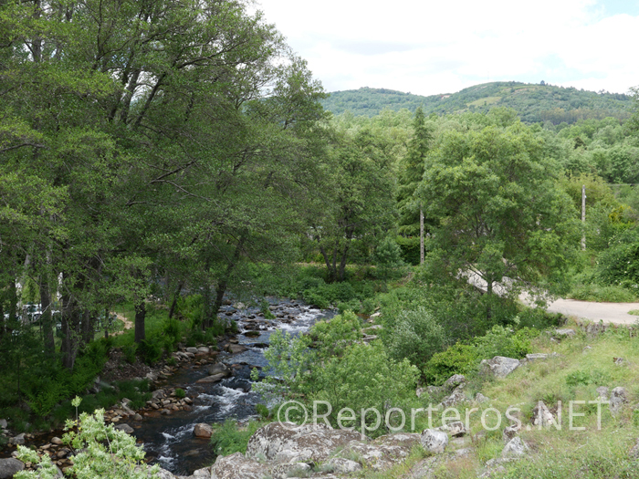 Río camino a Cepeda Río camino a Cepeda