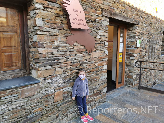 Centro de Animales Naturalizados en Villareal de San Carlos Centro de Animales Naturalizados en Villareal de San Carlos