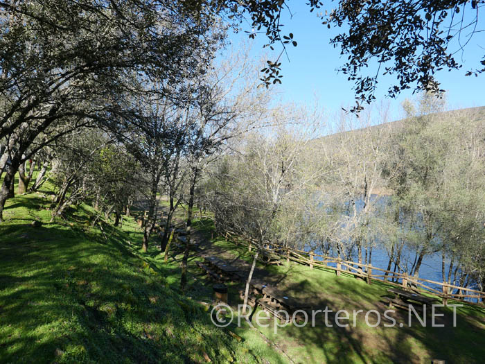 Área Recreativa de la Fuente del Francés Área Recreativa de la Fuente del Francés
