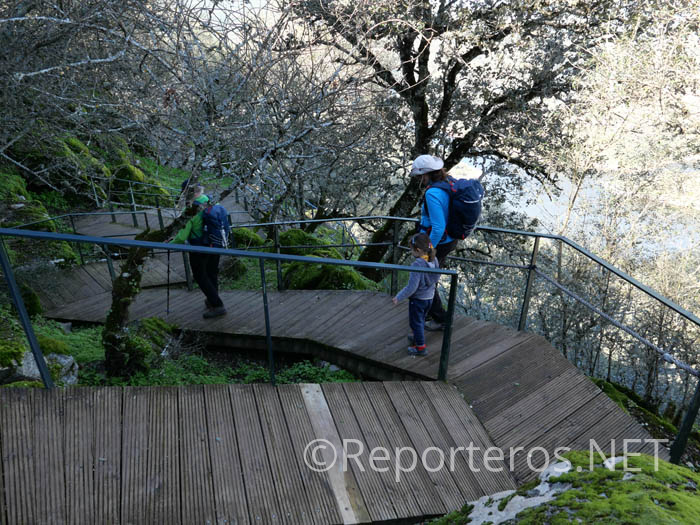 El sendero está habilitado de madera El sendero está habilitado de madera