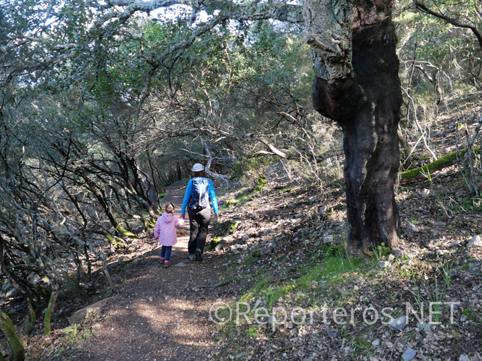 El sendero en este punto es precioso El sendero en este punto es precioso