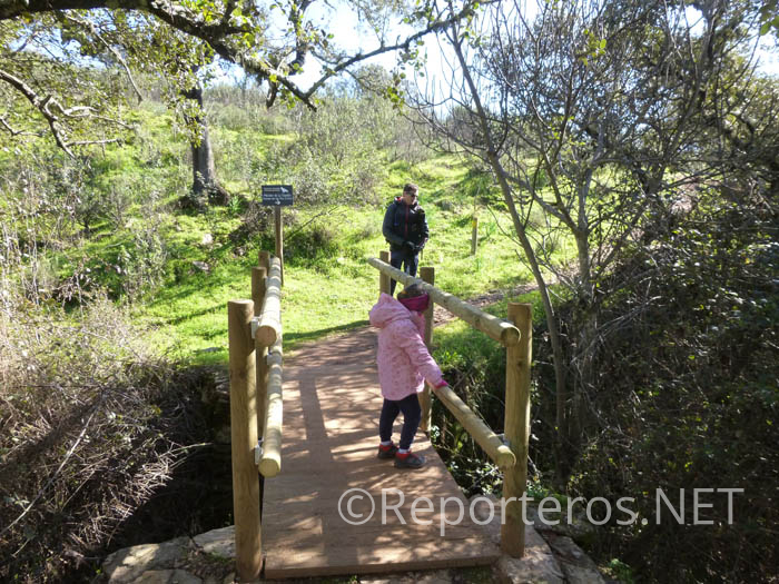 Puentecito para cruzar un arroyo Puentecito para cruzar un arroyo