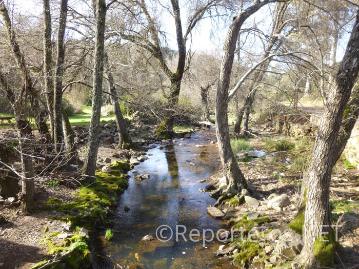 Río Malvecino Río Malvecino