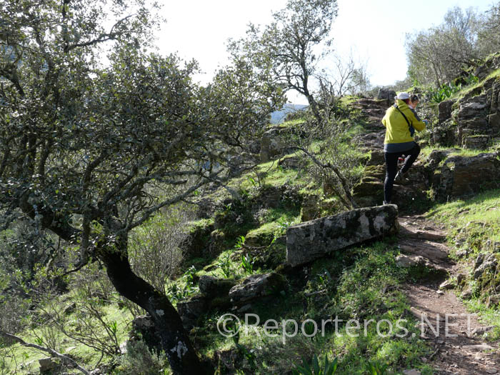 El sendero se torna pedregoso, aunque es un tramo corto El sendero se torna pedregoso, aunque es un tramo corto