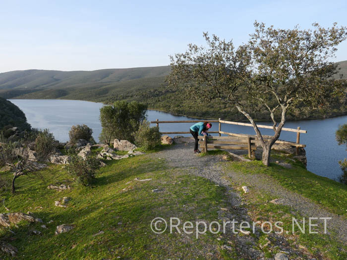 Mirador de La Higuerilla Mirador de La Higuerilla