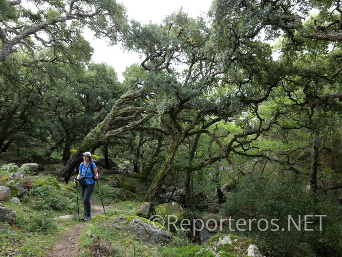 Maravilloso rincón dentro del canuto del Río Guadalmesí Maravilloso rincón dentro del canuto del Río Guadalmesí