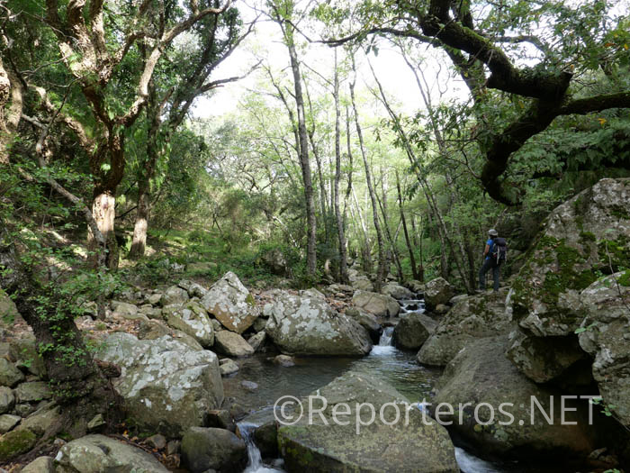 Un sendero único en Europa Un sendero único en Europa