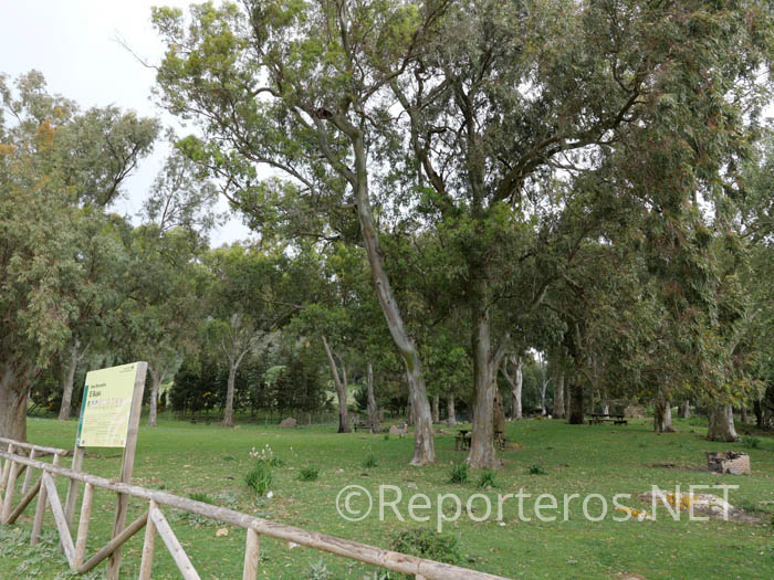Área Recreativa de El Bujeo Área Recreativa de El Bujeo