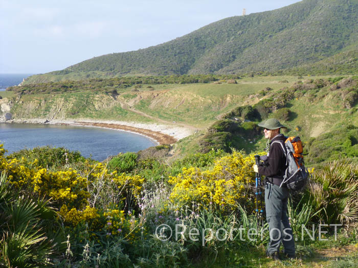 Acercándonos a la Cala del Peral Acercándonos a la Cala del Peral