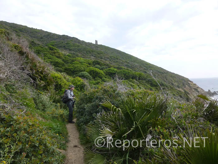 El sendero está rodeado de vegetación El sendero está rodeado de vegetación