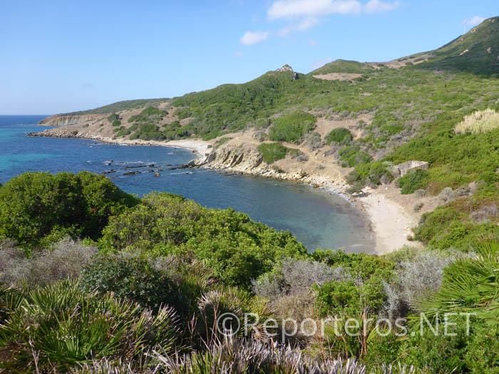 Paisaje costero en Cala Arenilla Paisaje costero en Cala Arenilla