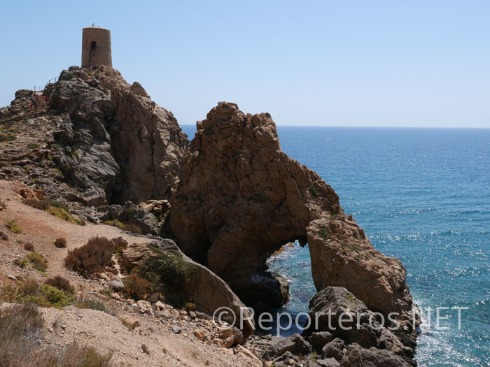 Torre del Pirulico Torre del Pirulico