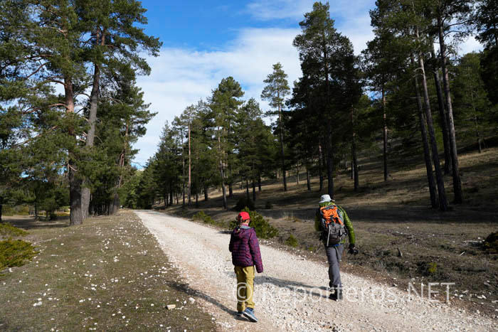 La ruta comienza en el Puerto del Cubillo por una amplia pista