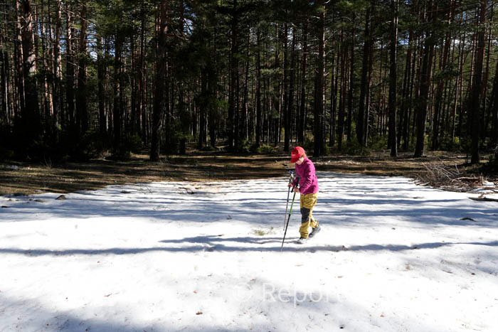 Aparecen algunas manchas de nieve