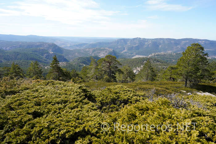 Vistas desde la cumbre de La Mogorrita