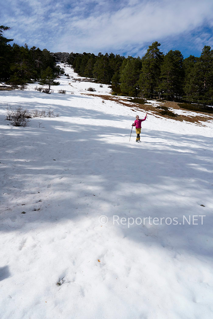 Cortafuegos sobre una pista de sky abandonada